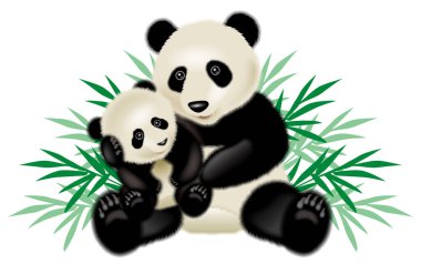 Ebeveyn ve çocuk panda tasviri. 3B illüstrasyon.