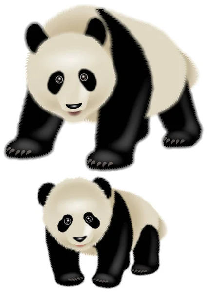 Ilustración Panda Ilustración — Foto de Stock