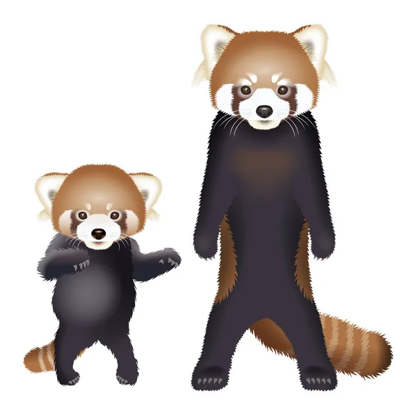Egy Vörös Panda Illusztrációja Illusztráció — Stock Fotó