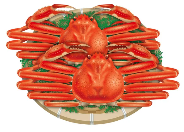 Illustration Crabe Des Neiges Fond Blanc — Photo