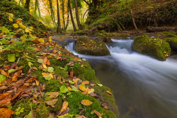Mountain Stream Small Waterfalls Autumn Zumberak Croatia — Stock Photo, Image