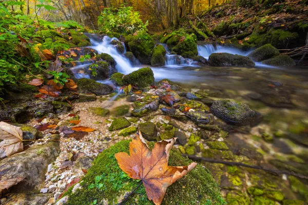 Ruisseau Montagne Avec Petites Cascades Automne Zumberak Croatie — Photo