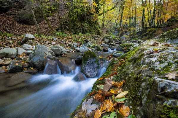 Rocks Covered Moss Autumn Stream Rapids Zeleni Vir Croatia — Stock Photo, Image