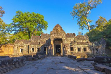 Angkor kompleksindeki Ta Prohm tapınağının kalıntıları, ağaçlarla kaplı, Kamboçya