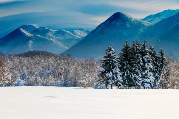 Lika 'da karlı kış, Velebit Dağı Hırvatistan' ın eteklerinde