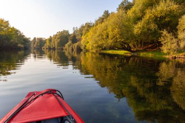 Öğleden sonra Hırvatistan 'daki Dobra Nehri' nde kürek çekmek