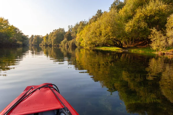 Öğleden sonra Hırvatistan 'daki Dobra Nehri' nde kürek çekmek
