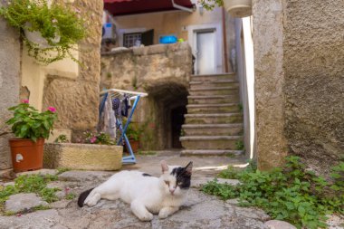 Hırvatistan 'ın Krk Adası' ndaki Vrbnik kasabası