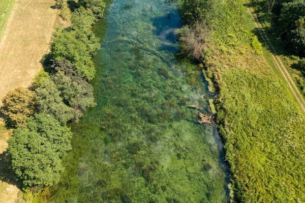 Aerial View Dobra River Croatia — Fotografia de Stock