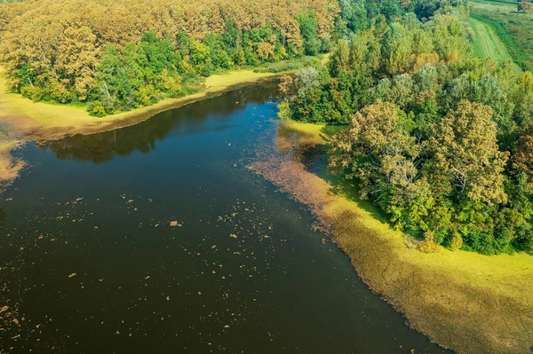 Vista Aérea Rio Strug Lonjsko Polje Croácia — Fotografia de Stock