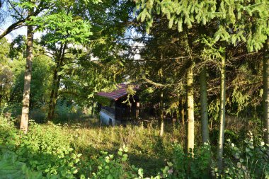 Ağaçların arasında bir ev, güneşli bir yaz gününde çalıların arasında zar zor görülebilen. Yaz.