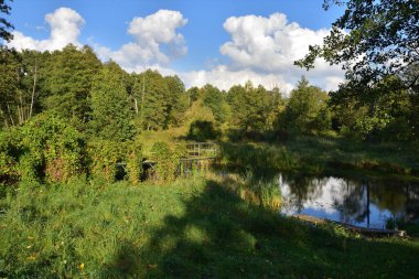 Güneşli bir günde ağaçlar ve çalılar arasında fazla gelişmiş ve görünmez nehir rıhtımı. Yaz.