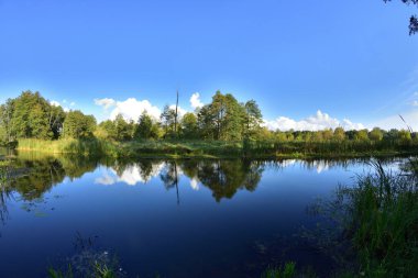 Nehir, ağaçlar, gökyüzü ve bulutlar sakin bir günde suya yansıyor. Rahatlama.