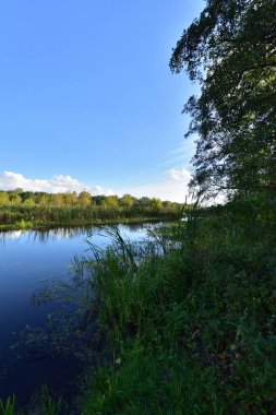 Nehir, ağaçlar, gökyüzü ve bulutlar sakin bir günde suya yansıyor. Rahatlama.