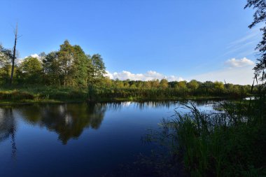 Nehir, ağaçlar, gökyüzü ve bulutlar sakin bir günde suya yansıyor. Rahatlama.