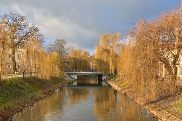 秋の暗い日に小さな川の上の橋が柳の花を咲かせる — ストック写真