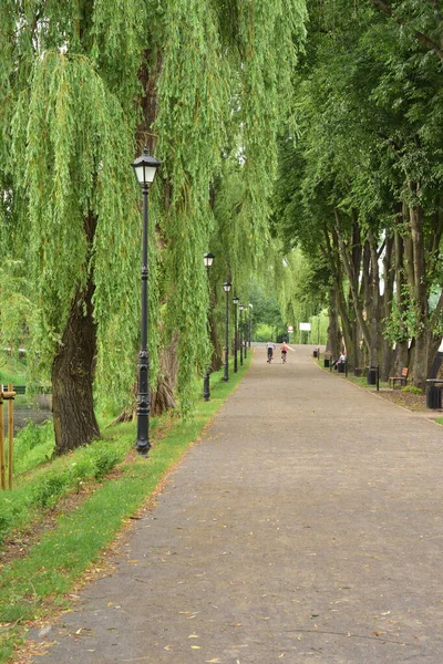 Pedestrian Alley Green Trees Gloomy Summer Day — Stock Photo, Image