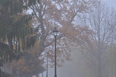 Sonbahar parkında, sisli bir günde renkli yaprakların arasında yayaların üzerinde sokak lambaları..
