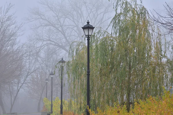 Lampy Uliczne Deptakach Jesiennym Parku Wśród Kolorowych Liści Mglisty Dzień — Zdjęcie stockowe