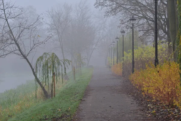 Street Lamps Pedestrian Paths Autumn Park Colorful Leaves Foggy Day — Stock Photo, Image