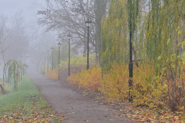 Street Lamps Pedestrian Paths Autumn Park Colorful Leaves Foggy Day — Stock Photo, Image