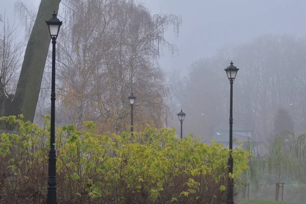 Lampy Uliczne Deptakach Jesiennym Parku Wśród Kolorowych Liści Mglisty Dzień — Zdjęcie stockowe