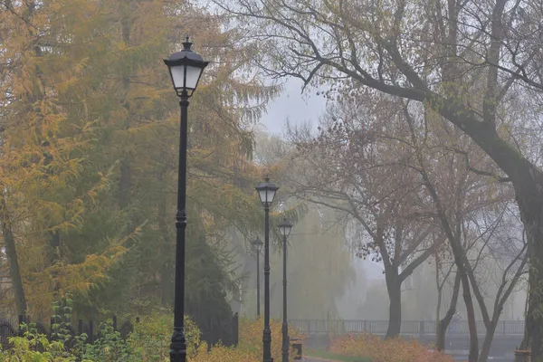 Street Lamps Pedestrian Paths Autumn Park Colorful Leaves Foggy Day — Stock Photo, Image