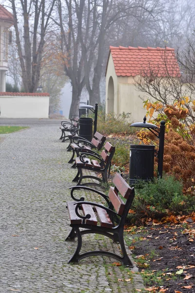 Ülések Egy Őszi Sétányon Lehullott Levelek Között Ködben — Stock Fotó