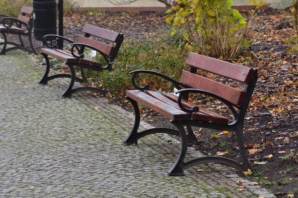 Ławki Jesiennym Parku Promenady Wśród Opadłych Liści Mgle — Zdjęcie stockowe
