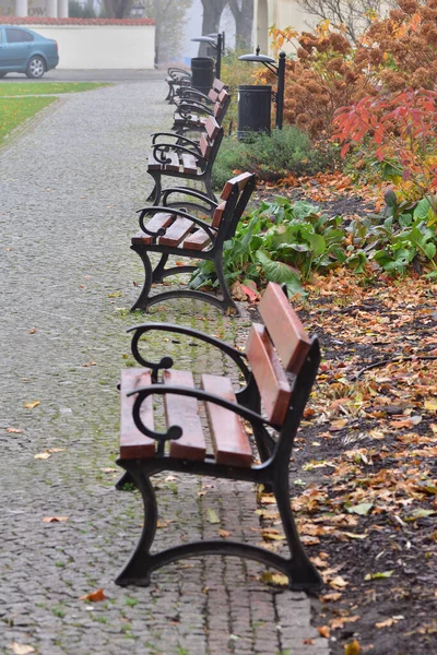 Lavičky Podzimním Parku Promenády Mezi Spadlými Listy Mlze — Stock fotografie