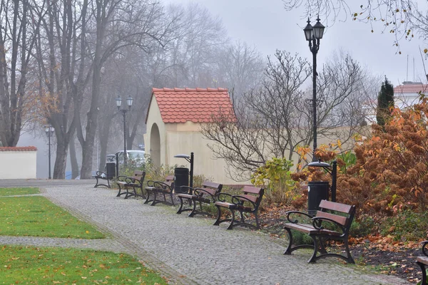 Bancos Parque Passeio Outono Entre Folhas Caídas Nevoeiro — Fotografia de Stock