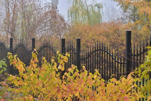Kovový Plot Mezi Podzimními Rostlinami Zamračený Den — Stock fotografie