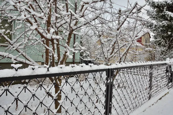 Kovový Plot Pod Sněhem Chladného Mrazivého Zimního Dne — Stock fotografie