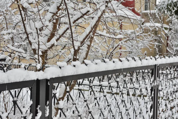 Cerca Metal Sob Neve Dia Frio Gelado Inverno — Fotografia de Stock