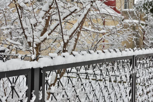 寒い冬の日に雪の下の金属フェンス — ストック写真