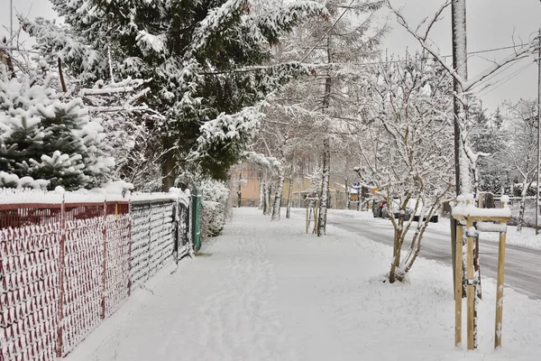 Stromy Domy Dopravní Značky Ulice Městě Pokrytém Sněhem Oblačného Zimního — Stock fotografie