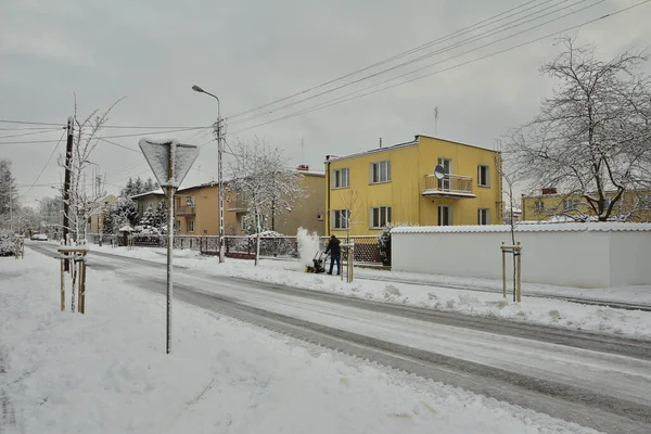 Árvores Casas Placas Estrada Rua Uma Cidade Coberta Neve Dia — Fotografia de Stock