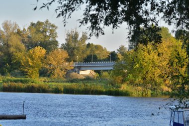 Güneşli bir yaz gününde, ağaçlar arasında nehrin üzerindeki köprü. Yaz. 