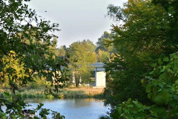 Most Przez Rzekę Między Drzewami Słoneczny Letni Dzień Lato — Zdjęcie stockowe