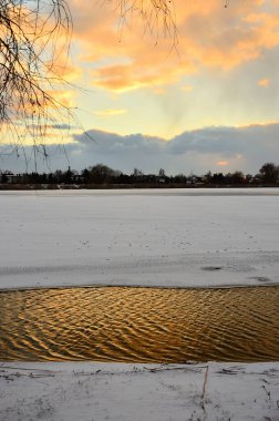 Kış günbatımında ufukta donmuş bir göl, sazlıklar ve ağaçlar. Kış. 