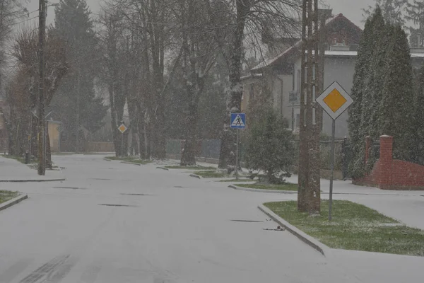 Snow Covered Road Cars Road Signs Trees Winter Day Snowfall — Stock Photo, Image