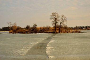 Donmuş göl kıyısı, karla kaplı ağaçlar dondurucu güneşli bir günde. Kış. 
