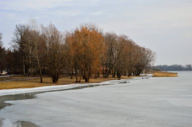 Donmuş göl kıyısı, karla kaplı ağaçlar dondurucu güneşli bir günde. Kış. 