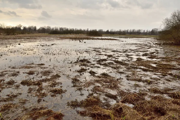 Nehirdeki yüksek sular, bulutlu bir bahar gününde çayırları ve tarım arazilerini sular. Gün. 