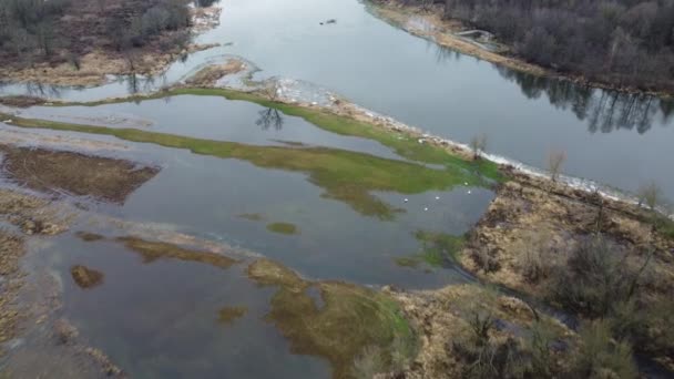 Oxbow Lake Narew Flooding Gloomy Autumn Day Filmed Drone Flight — Wideo stockowe