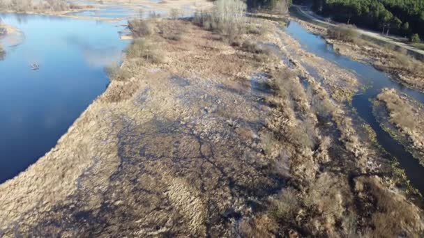 Oxbow Λίμνη Narew Κατά Διάρκεια Πλημμυρών Υψηλής Νερό Ένα Φθινόπωρο — Αρχείο Βίντεο