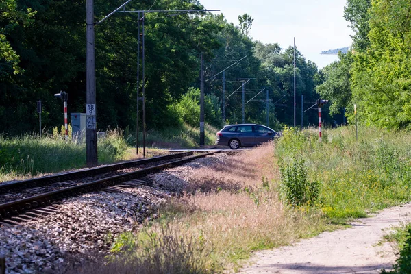 Güneşli bir yaz gününde tren ve araba kesişiyor.. 