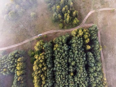 Sis üzerinde insansız hava aracının resimleri. Nehir, orman, tarlalar ve çayırlar sisli bir yaz şafağında.