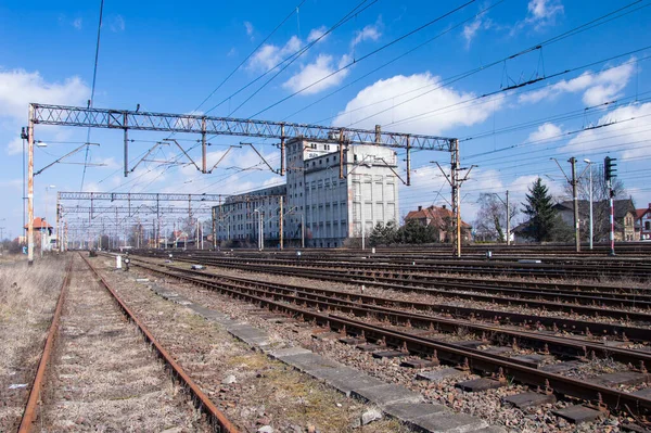 Spoorweginfrastructuur Sporen Rails Elektriciteitskabels Het Spoor — Stockfoto