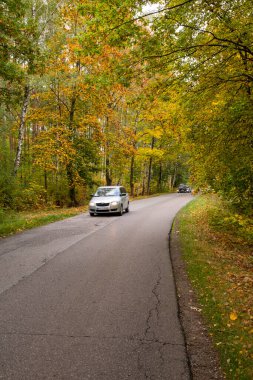 Sonbahar ormanı, yol ve araba güneşli bir günde hareket ediyor.